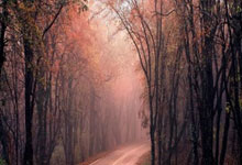 羽毛球混团亚锦赛中国队小组第一出线 淘汰赛对阵出炉2025-02-14.