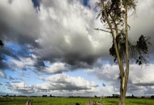 尤文1-0,终结2连败+逼近前四,19岁新星奔袭后惊艳破门,太牛了.