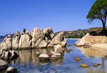 骑士NBA猎杀灰熊 豪取16连胜创队史纪录.